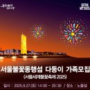시청삼거리/ 교통섬2 | 서울세계불꽃축제 2025 시간 일정 티켓 명당 총정리(+교통통제, 관람석 유의사항)