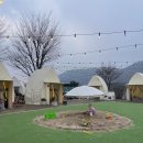 준서네 농장 | 아이랑 서울근교 갈만한곳 양주르 글램핑 무료 딸기농장까지!