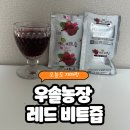 우솔 | 🍷 비트즙으로 시작한 요즘 건강 루틴｜우솔농장 레드 비트즙 솔직 후기