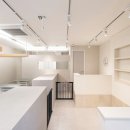 더펫미용실 네이버블로그