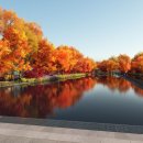 국회대로 이미지