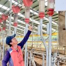 임종수 농장 이미지