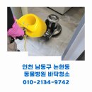 보듬동물병원 | 인천 남동구 논현동 동물 병원 대청소 바닥청소 후기