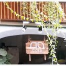 멍's랜드 이미지