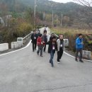 곡성-029 이미지