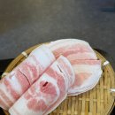 고기극찬수영