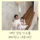 재방문의사100% 내돈내산 솔직후기♥ 대전 키즈풀 스튜디오 라운지 "헤리턴스" 대전 아기랑 갈만한 곳...
