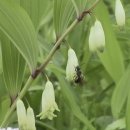 황정농장 이미지