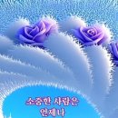 수지상사 이미지