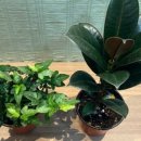 우일한의원 이미지