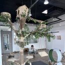 냥이의하루 카페.분양 | 천안 성정동 고양이카페 냥이마루 다녀온 후기 I 천안실내데이트 고양이분양