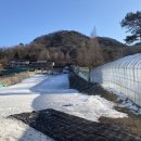 144 | 겨울 충청도 해미 당일치기 여행_눈썰매장 덕산온천눈썰매장 후기