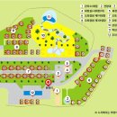 동강전망자연휴양림 이미지