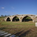 미내다리 이미지