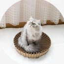 해밤