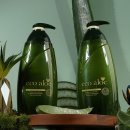 샴푸헤어 이미지