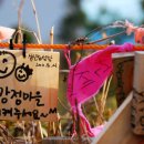 강정동-7 이미지