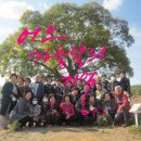 반지경로당 이미지