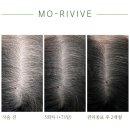 더마음모리 이미지