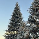 아난티 앳 부산 빌라쥬 이미지