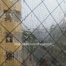 [Life] 도쿄, 한 달만에 천둥번개 집중호우 이미지