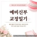 이정도우 | 교정일기01. 예비신부 치아교정 고민 현실판｜치아교정 상담 후기｜이정도면 웨딩 관리 끝판왕?