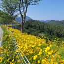 옥포대첩로 이미지