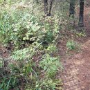 캠핑파크 이미지