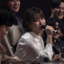 왔다과메기