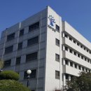 제주처럼 이미지