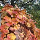 부천초등학교 이미지