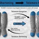 미르금속 이미지