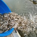 길상농장 이미지