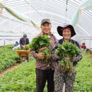 종순농장 이미지