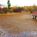 경안천습지생태공원 이미지