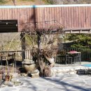 장터풍경 | 화개장터 맛집 추천 자연 풍경이 좋았던 산여울식당 후기