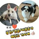 꿈쟁이하우스 이미지