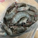 서해수산식품 | 새우 택배 배송 / 태안 서산 왕새우 직판장 / ‘해담수산마켓’