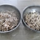 텃밭 청국장 보리밥 이미지