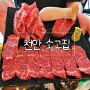 아산 탕정 지중해마을 맛집 소고집 가성비 소고기
