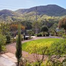 수목다실 이미지