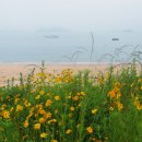 장등해수욕장 이미지