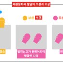 [매장문화재법] 제4장 매장문화재의 처리 이미지