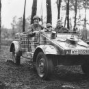 자동차나라 이미지