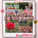 묵동-013 | 서울 수도권 장미 명소 5월 장미축제 소식