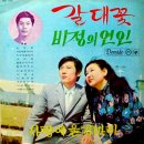 비정의 여인 / 김주식 (1971) 이미지