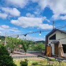 두스테이 이미지