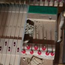 강과산이 아름다운 한옥펜션 이미지