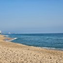 25년 49차 정기산행(연말총회)/안목~삼다도횟집(25년 12월 19일 금요일 8시) 이미지