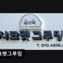 시크펫 그루밍 네이버블로그